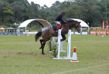 SLMA - Equestrian Sports Festival 2018