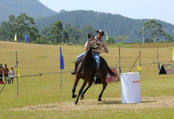 SLMA - Equestrian Sports Festival 2018