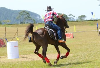 SLMA - Equestrian Sports Festival 2018