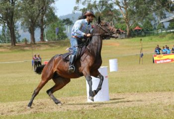 SLMA - Equestrian Sports Festival 2018