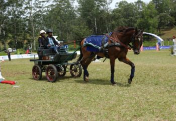 SLMA - Equestrian Sports Festival 2018